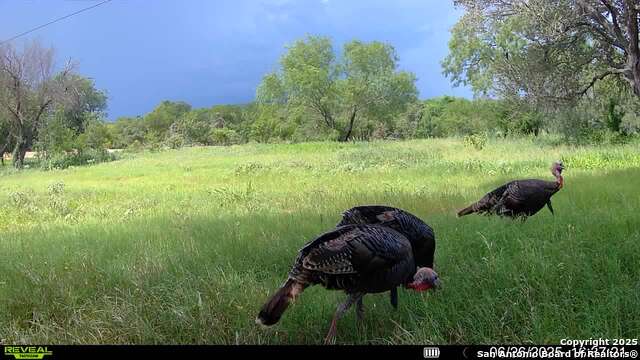 3141 Zion Hill, Seguin, Texas image 33