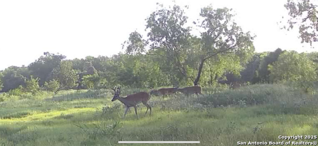 3141 Zion Hill, Seguin, Texas image 34