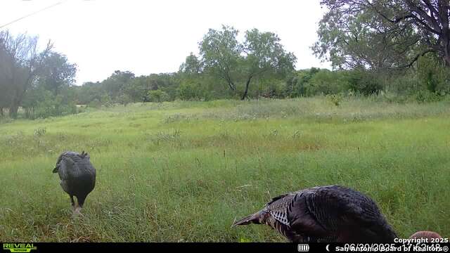 3141 Zion Hill, Seguin, Texas image 35