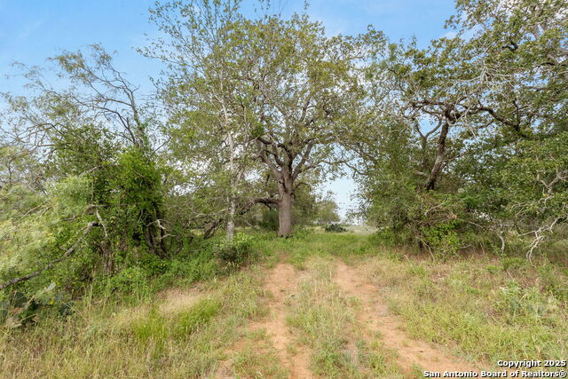 3141 Zion Hill, Seguin, Texas image 4