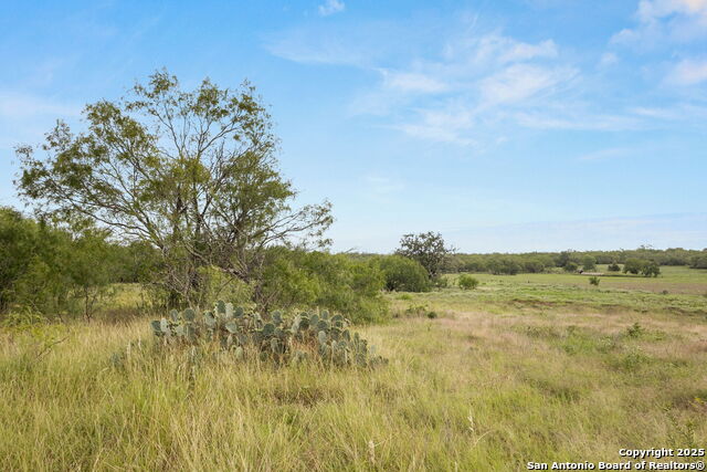 3141 Zion Hill, Seguin, Texas image 5
