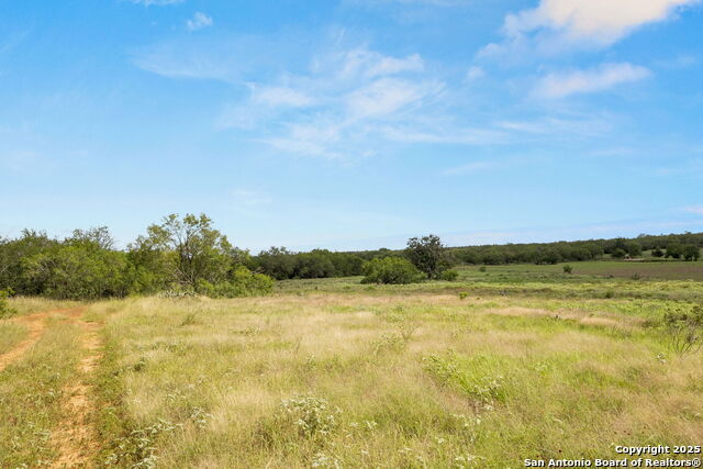 3141 Zion Hill, Seguin, Texas image 6