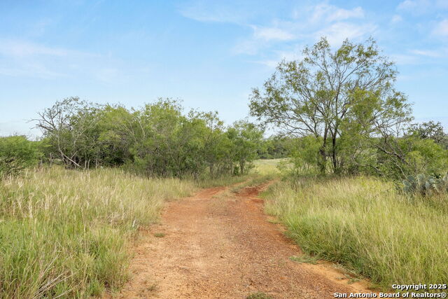 3141 Zion Hill, Seguin, Texas image 7