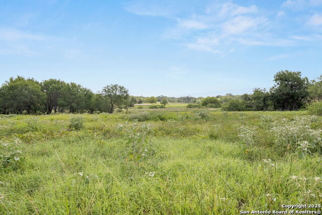 3141 Zion Hill, Seguin, Texas image 8