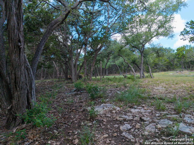 581 Gallagher, Canyon Lake, Texas image 5