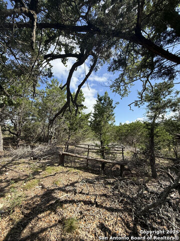 564 Rock Trail Place, Spring Branch, Texas image 7