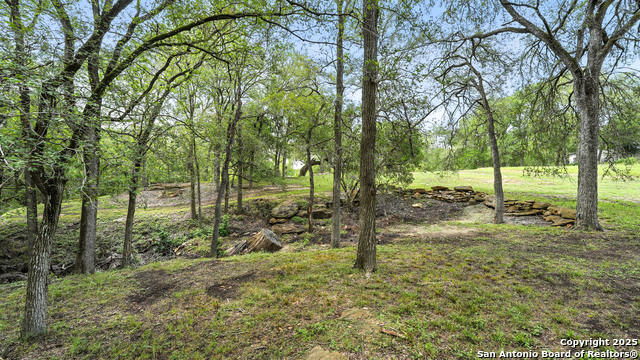 LOT 30 AND 31 River Trl, Seguin, Texas image 3