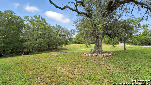 LOT 30 AND 31 River Trl, Seguin, Texas image 4