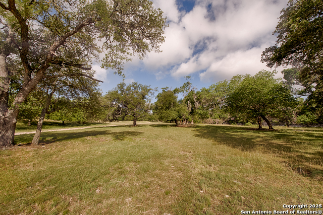 LOT 23 Goose Landing Way, Harper, Texas image 15
