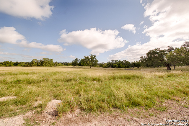 LOT 23 Goose Landing Way, Harper, Texas image 3