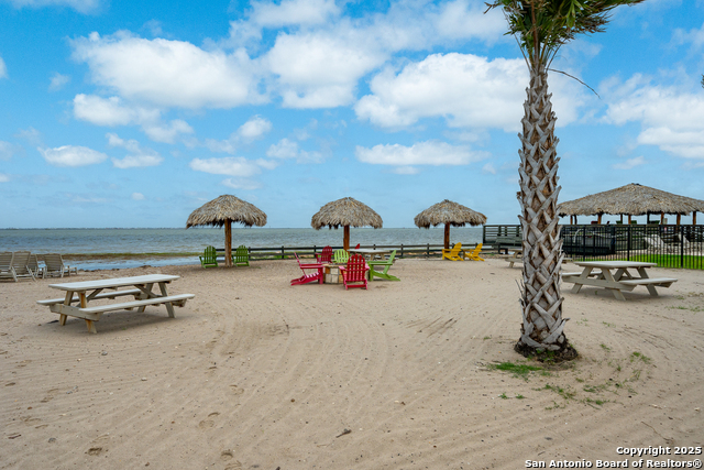 101 Caribbean, Corpus Christi, Texas image 3