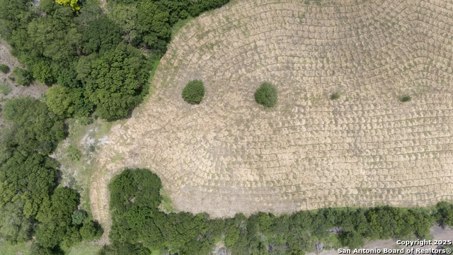 901 Fm 1620, Seguin, Texas image 13