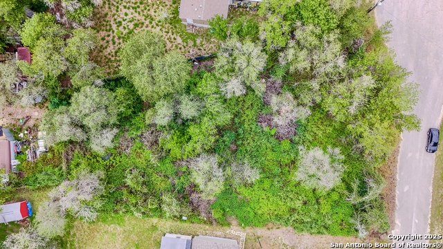 23030 Dream View Dr, Elmendorf, Texas image 6