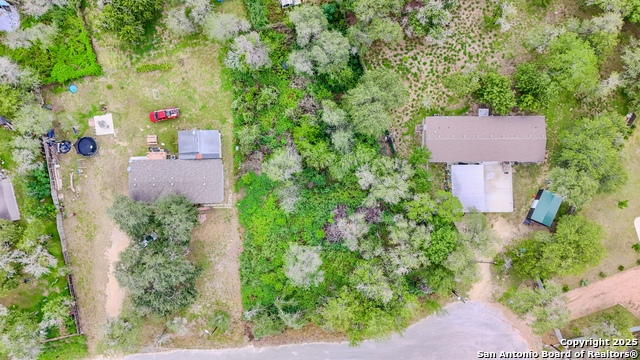 23030 Dream View Dr, Elmendorf, Texas image 7