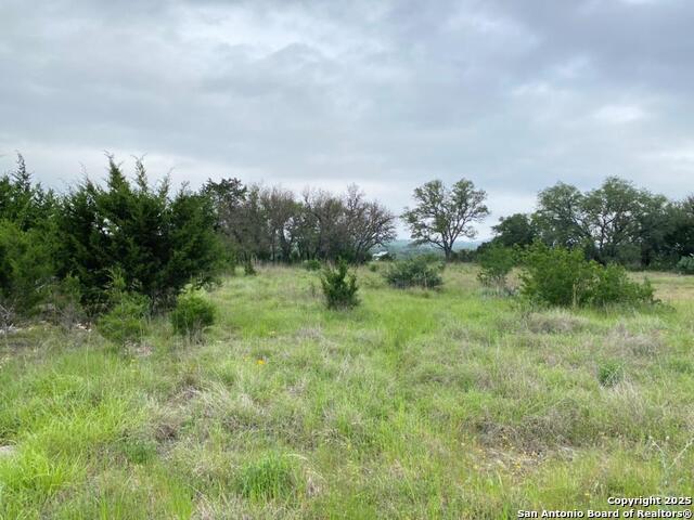 356 Palomino Springs, Bandera, Texas image 18