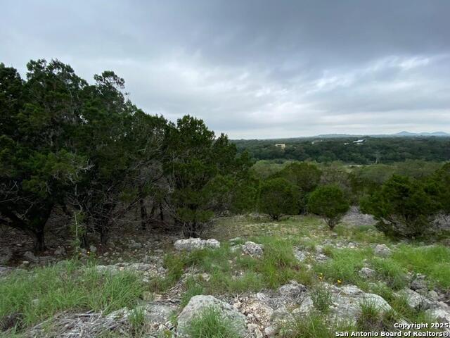 356 Palomino Springs, Bandera, Texas image 19