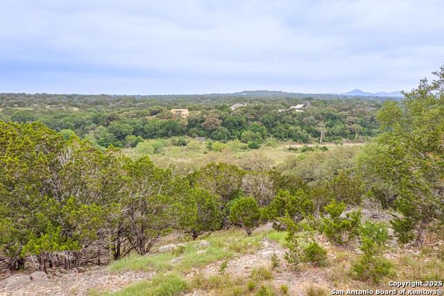 356 Palomino Springs, Bandera, Texas image 2