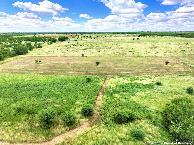 3192 Atascosa County Road 101, Floresville, Texas image 10