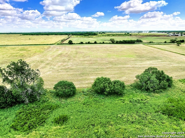 3192 Atascosa County Road 101, Floresville, Texas image 9