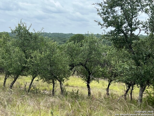 LOT 19 Monterey, Boerne, Texas image 5