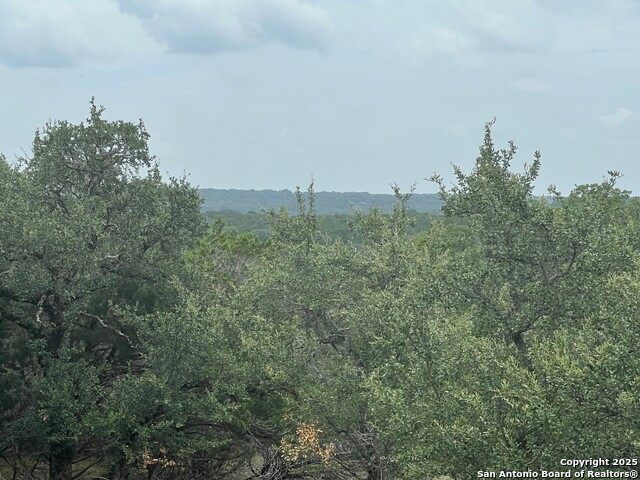 LOT 19 Monterey, Boerne, Texas image 6