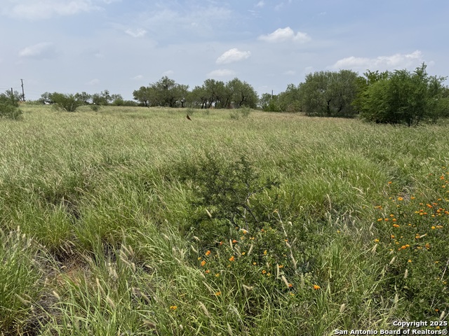 2266 Interstate 35, Cotulla, Texas image 2
