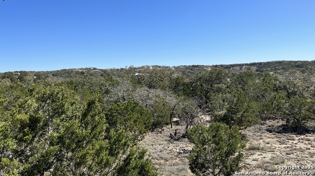 562 Prairie Tea, Canyon Lake, Texas image 10