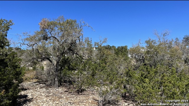 562 Prairie Tea, Canyon Lake, Texas image 11