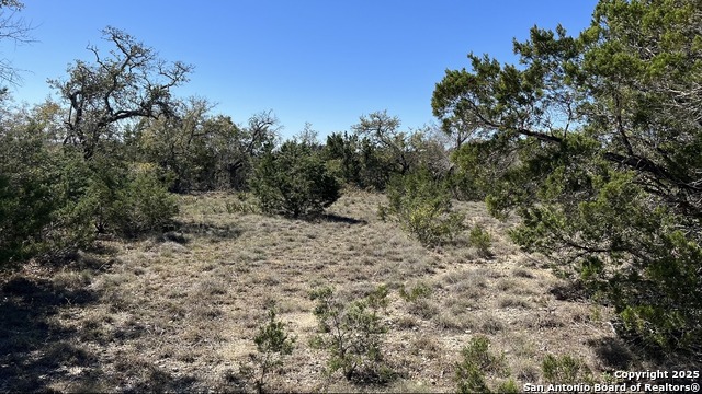 562 Prairie Tea, Canyon Lake, Texas image 12