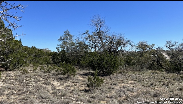 562 Prairie Tea, Canyon Lake, Texas image 13