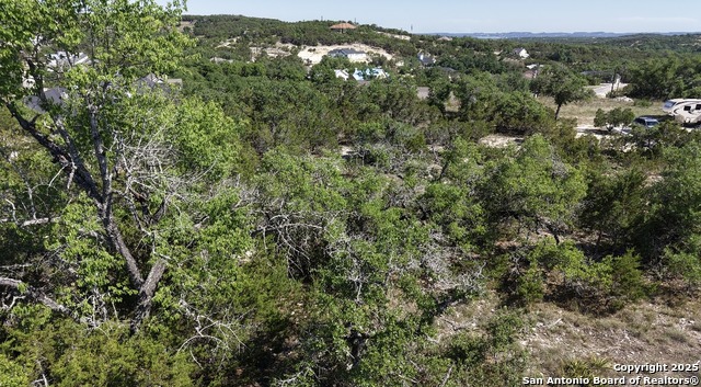 562 Prairie Tea, Canyon Lake, Texas image 2
