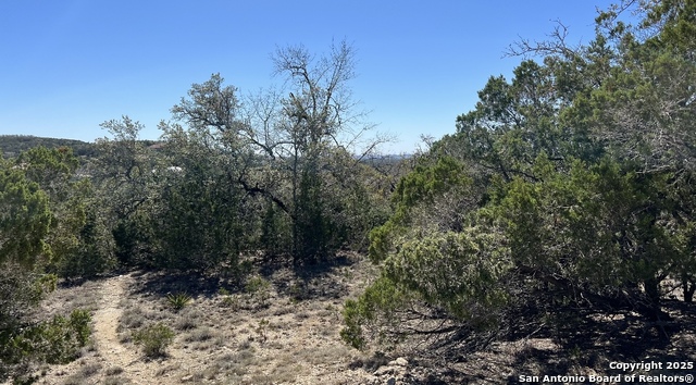 562 Prairie Tea, Canyon Lake, Texas image 3