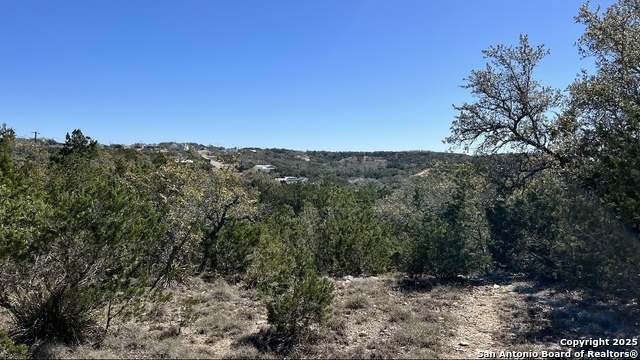 562 Prairie Tea, Canyon Lake, Texas image 4