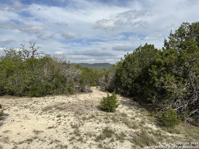 0000 Bear Springs, Pipe Creek, Texas image 1