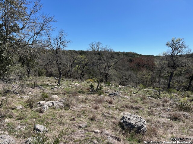 LOT 7 Panther Bend, Boerne, Texas image 14