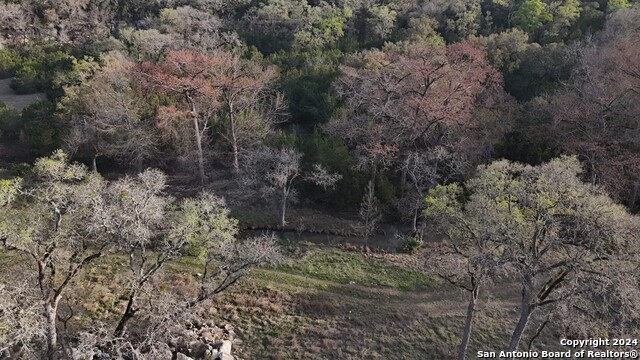LOT 7 Panther Bend, Boerne, Texas image 20