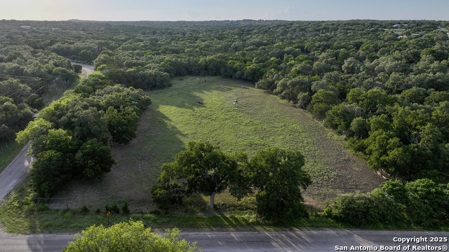 543 Narrows, Blanco, Texas image 1