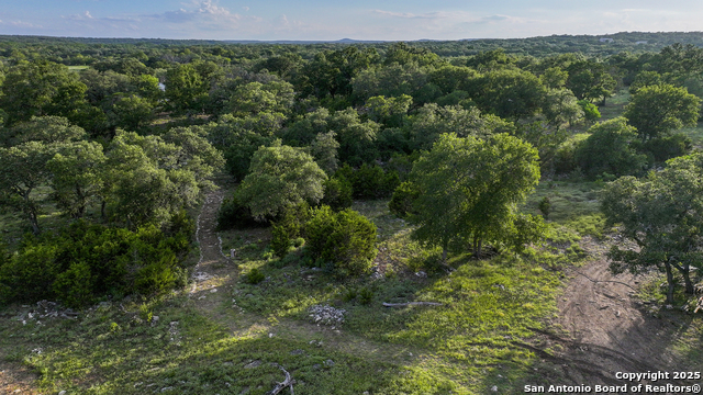 543 Narrows, Blanco, Texas image 10