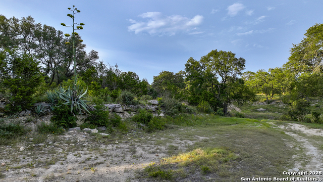 543 Narrows, Blanco, Texas image 18