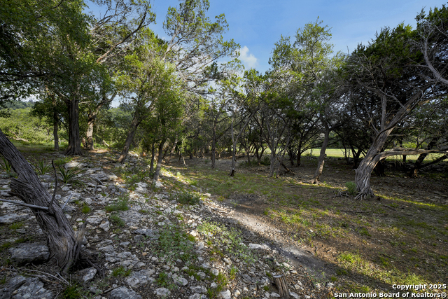 543 Narrows, Blanco, Texas image 19