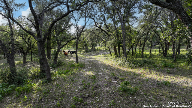 543 Narrows, Blanco, Texas image 20