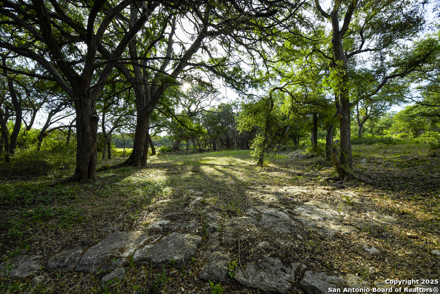 543 Narrows, Blanco, Texas image 21