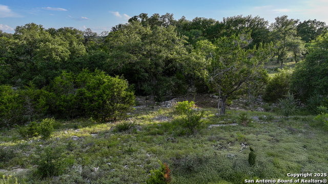543 Narrows, Blanco, Texas image 23