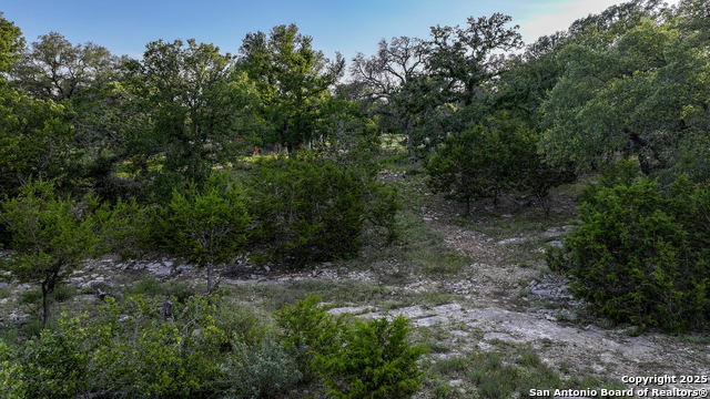 543 Narrows, Blanco, Texas image 24