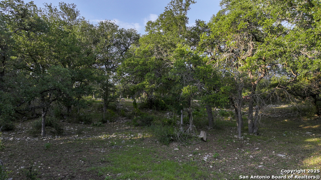543 Narrows, Blanco, Texas image 25