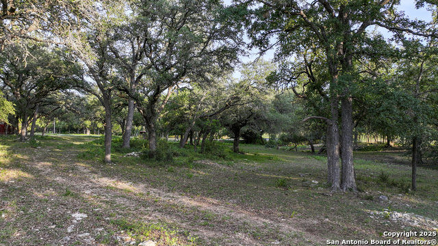 543 Narrows, Blanco, Texas image 26
