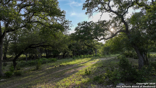 543 Narrows, Blanco, Texas image 27