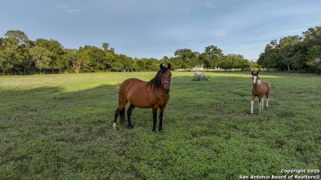 543 Narrows, Blanco, Texas image 29