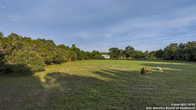 543 Narrows, Blanco, Texas image 30