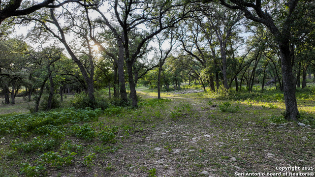 543 Narrows, Blanco, Texas image 32